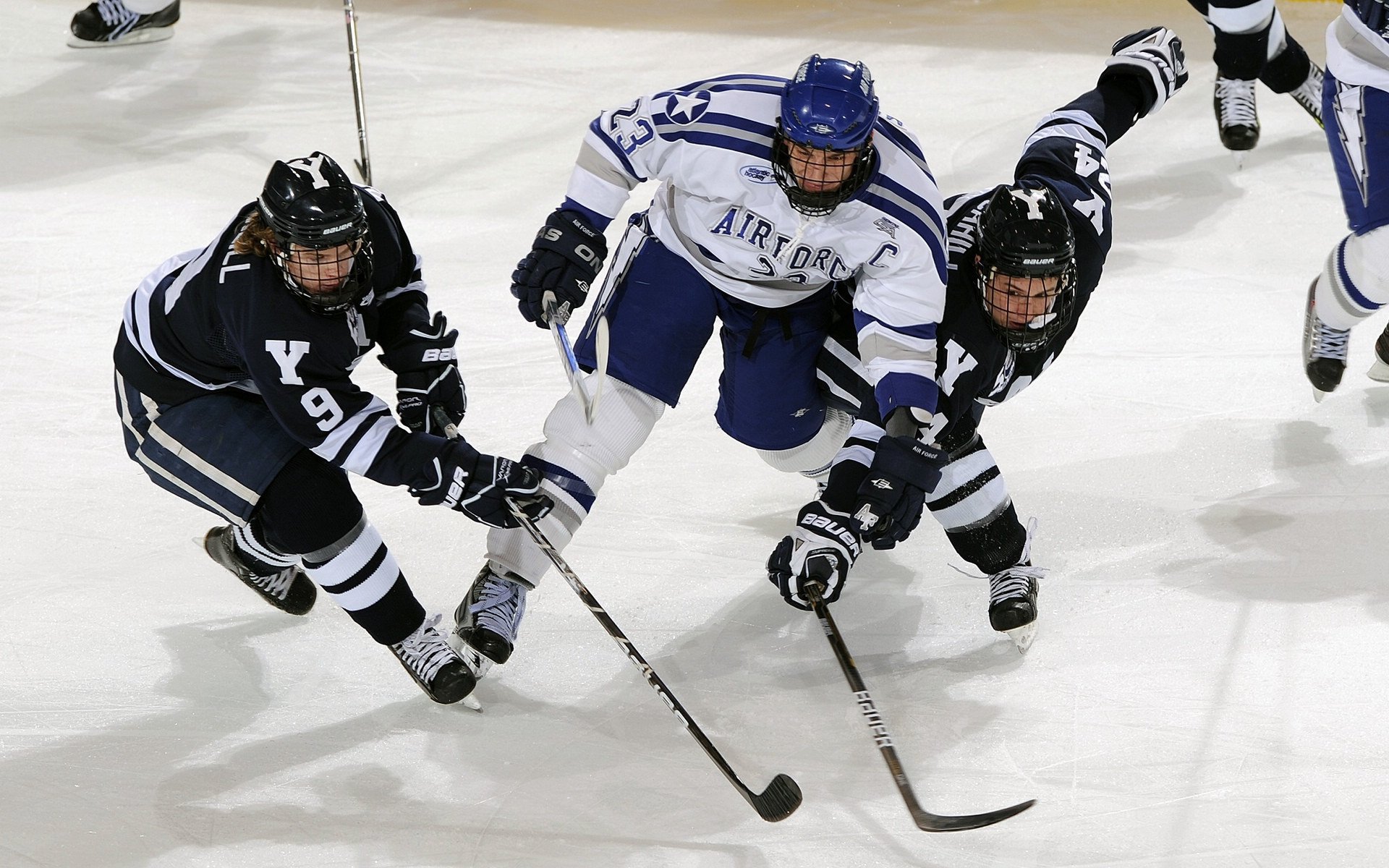 英超：布莱顿2-2平沃特福德，比赛充满悬念，英超布莱顿对埃弗顿